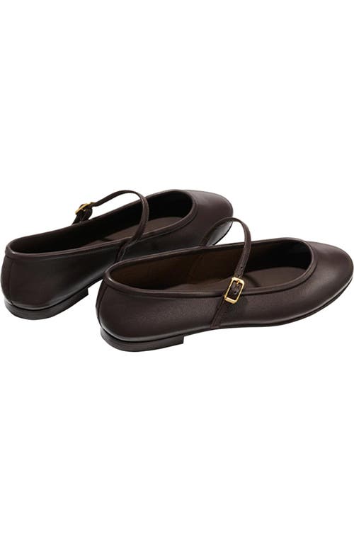 Margaux The Demi Jane Flat In Brown