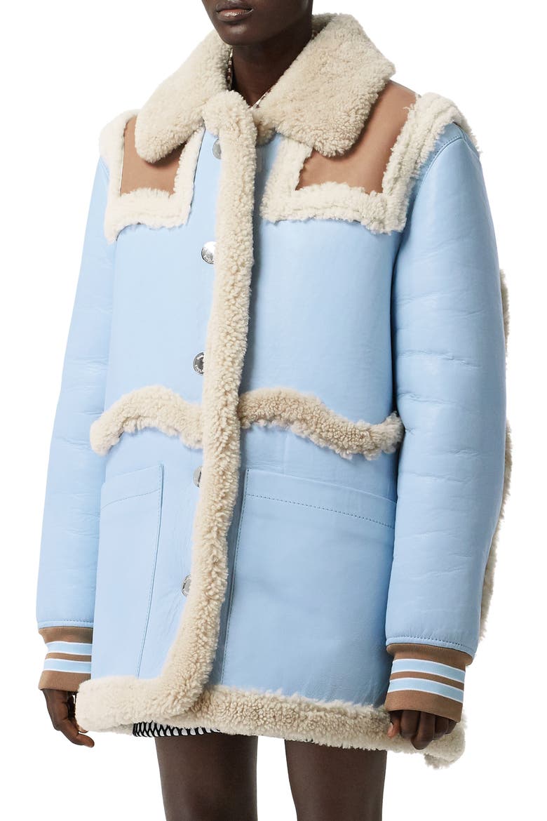 Two-Tone Genuine Shearling & Leather Coat, Main, color, BABY BLUE
