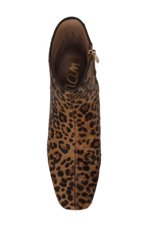 Sam Edelman Paige Bootie In Animal Print
