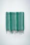 selected Green Teal