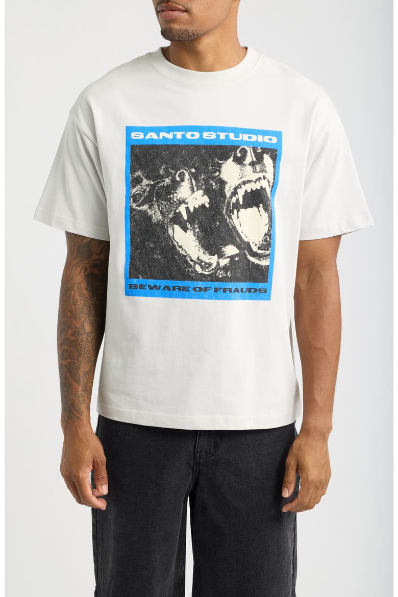 Beware of Frauds Graphic T-Shirt, Main, color, FADE GREY