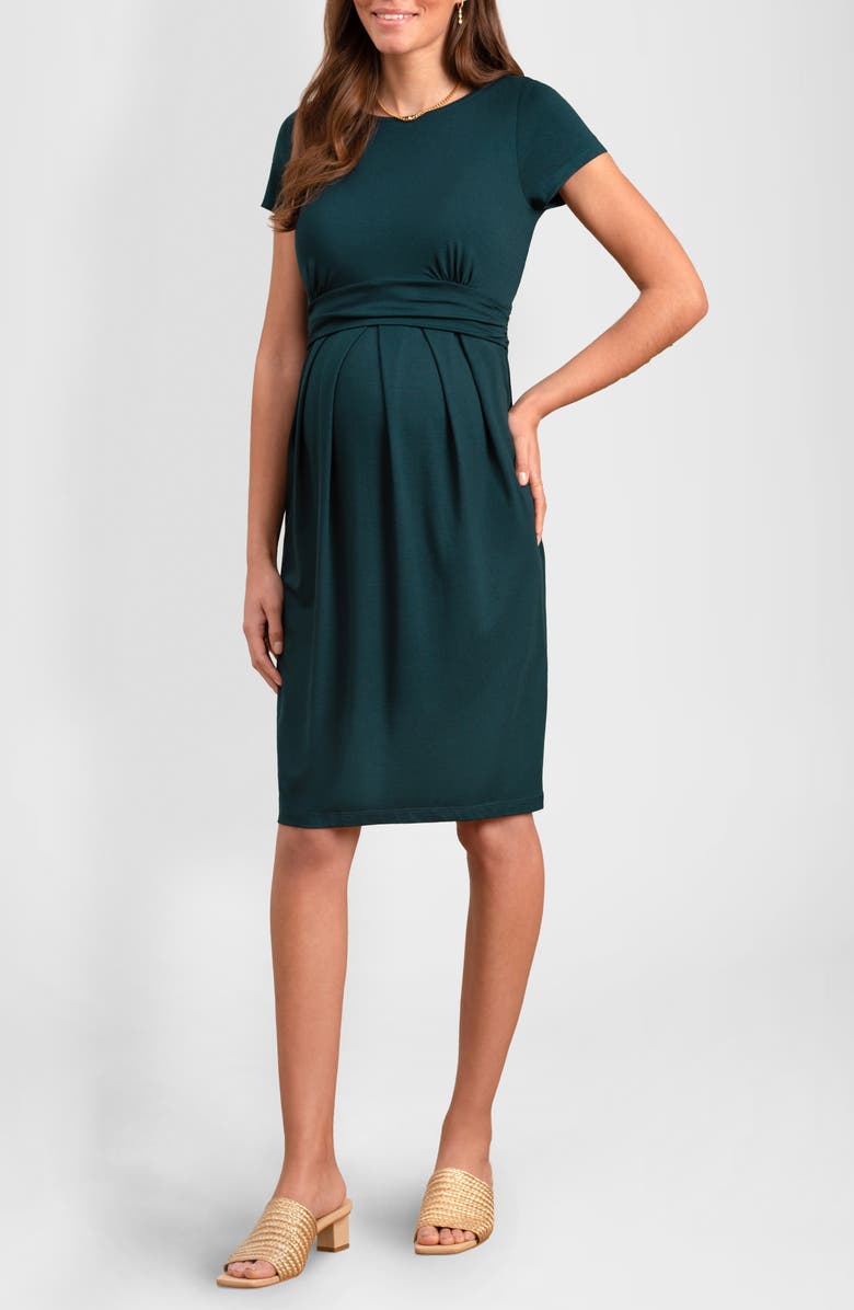 Seraphine Pleated Waist Maternity/Nursing Dress, Main, color, 