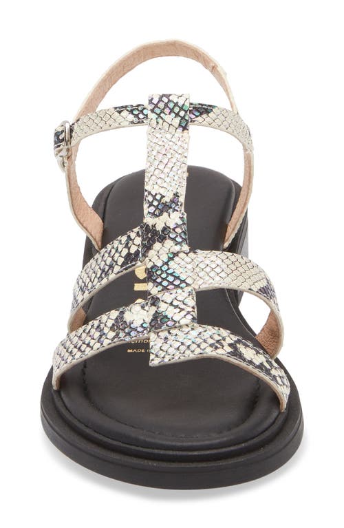 Wonders Janet Strappy Sandal In Snake Off White
