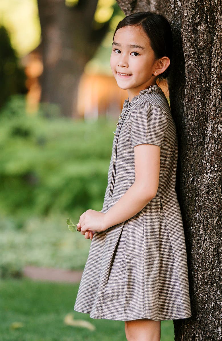 Hope & Henry Kids' Organic Ruffle Collar Pintuck Drop Waist Dress, Alternate, color, Camel Houndstooth