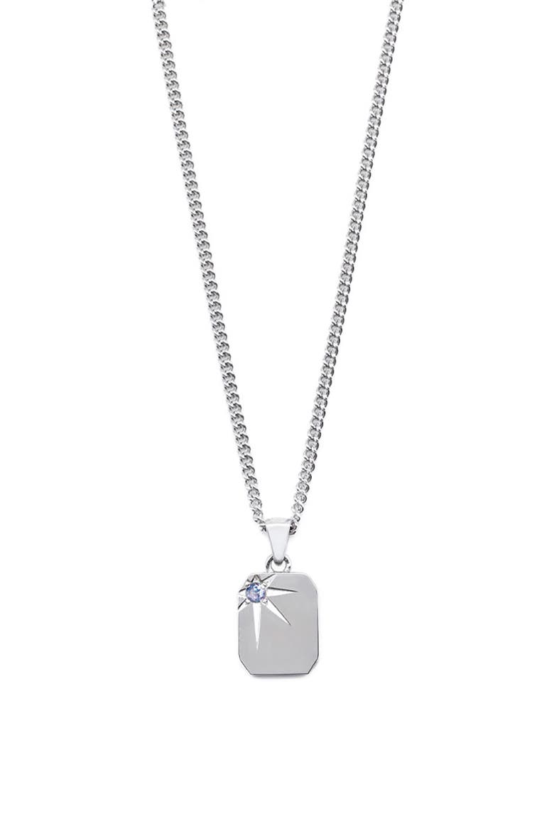 Guardian Pendant Necklace, Main, color, SILVER