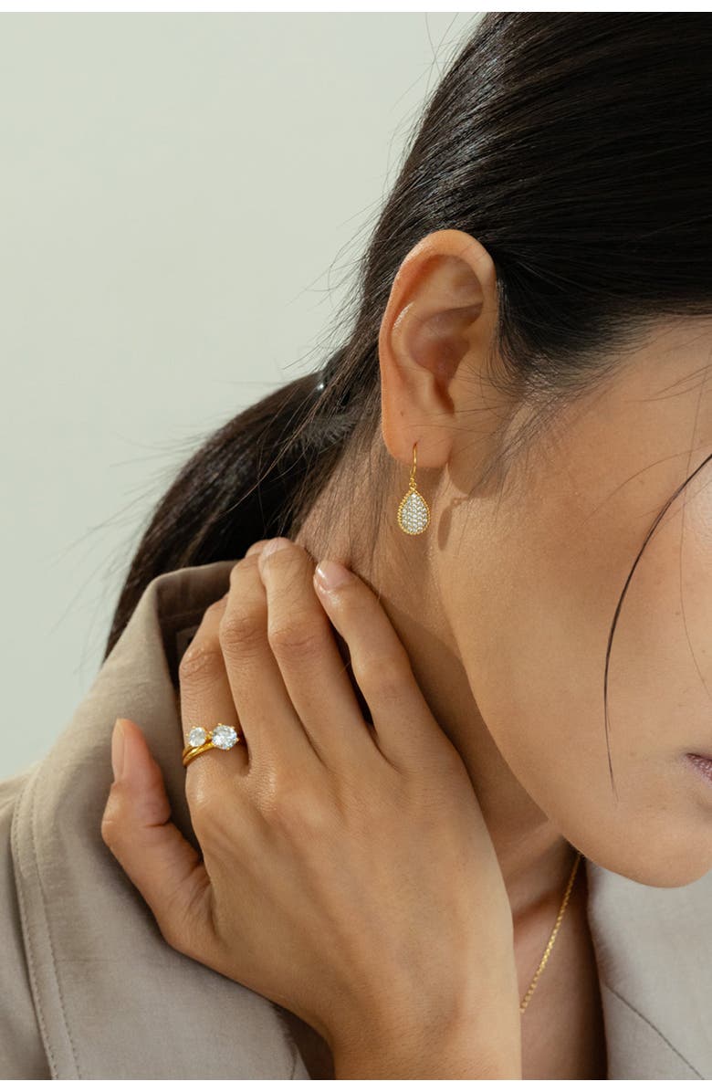 Bearfruit Jewelry Sterling Silver 18k Gold Plated Leah Crystal Teardrop Earrings Holiday Gift Idea, Alternate, color, Gold