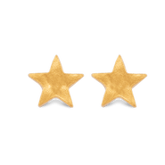 7879 Star Stud Earrings