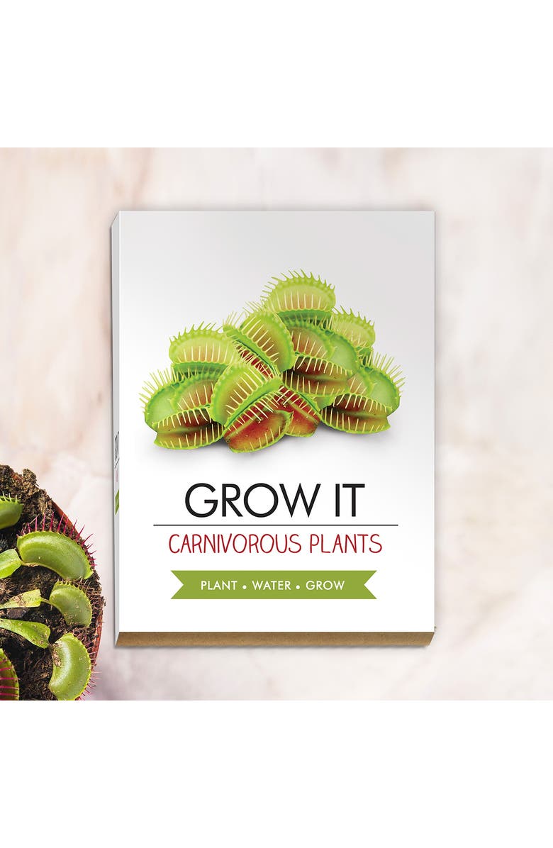 GIFT REPUBLIC Canivorous Plant Grow Kit, Alternate, color, 