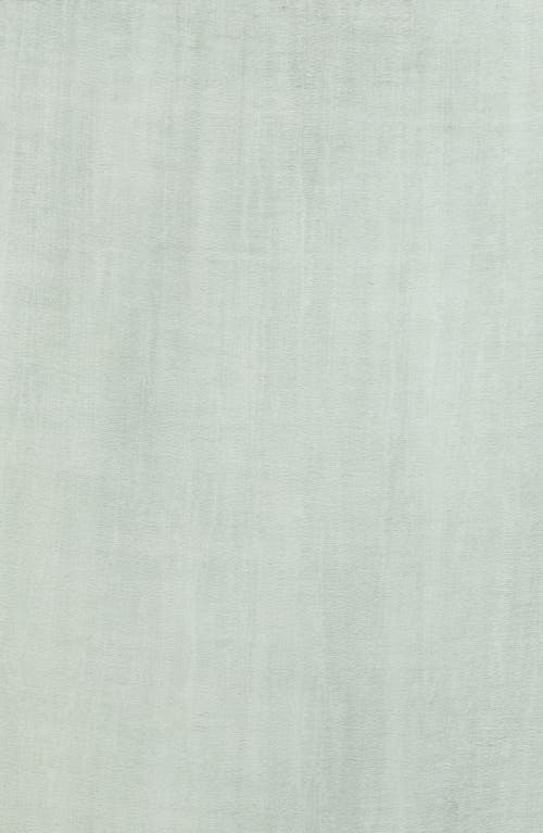 Ellian Solid Gauze Oblong Scarf In Green