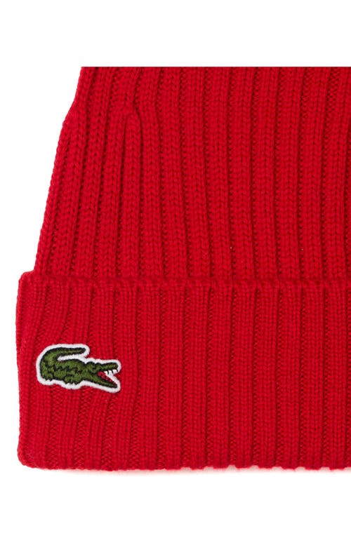 Lacoste Wool Cuff Beanie In Red