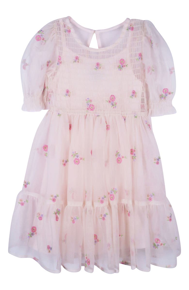 Zunie Kids' Embroidered Mesh Dress, Main, color,