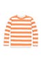  Cantaloupe White Stripe