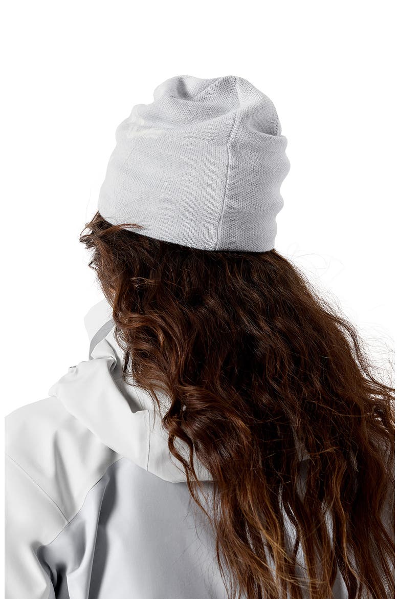 Bird Head Merino Wool Blend Beanie, Alternate, color, SOLITUDE / ARCTIC SILK