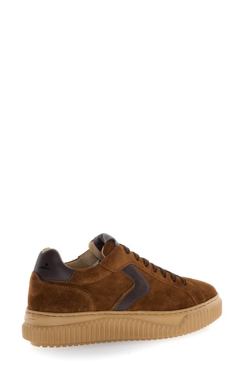 Voile Blanche Lipari Sneaker In Multi