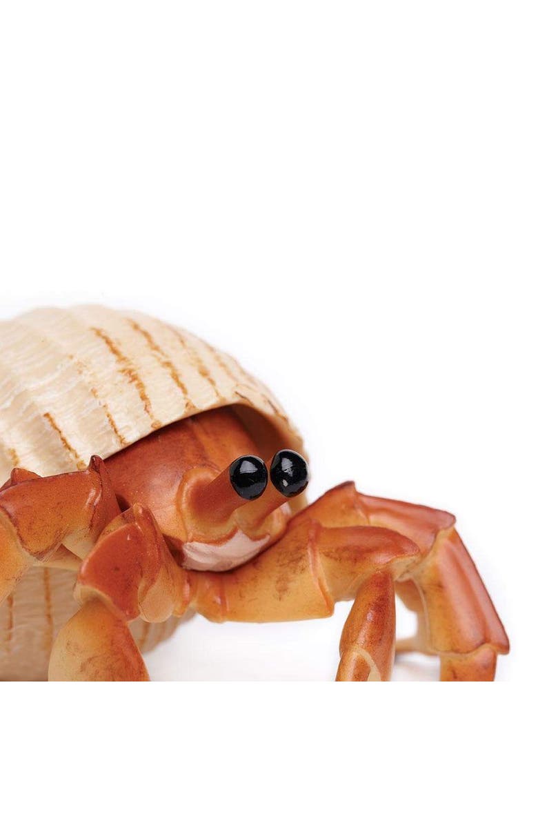 Safari Ltd. Hermit Crab Toy, Alternate, color, NO COLOR