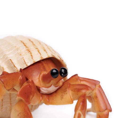 Shop Safari Ltd. Hermit Crab Toy