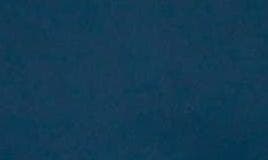 selected BLUE