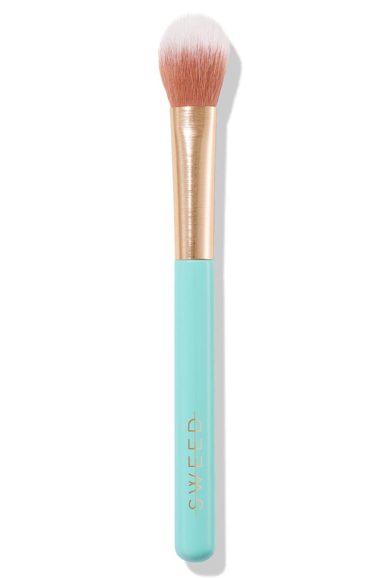 Highlighter Brush, Main, color, NO COLOR