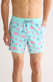 Party Pants Moby Swim Trunks