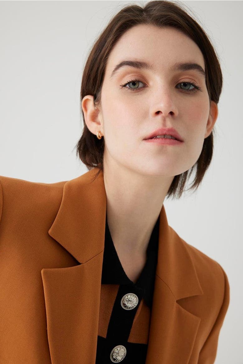 Alona Blazer Jacket, Main, color, CINNAMON