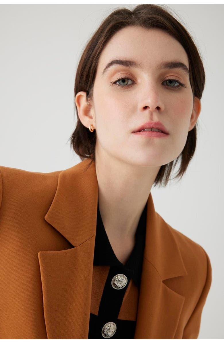 Exquise Alona Blazer Jacket, Main, color, Cinnamon