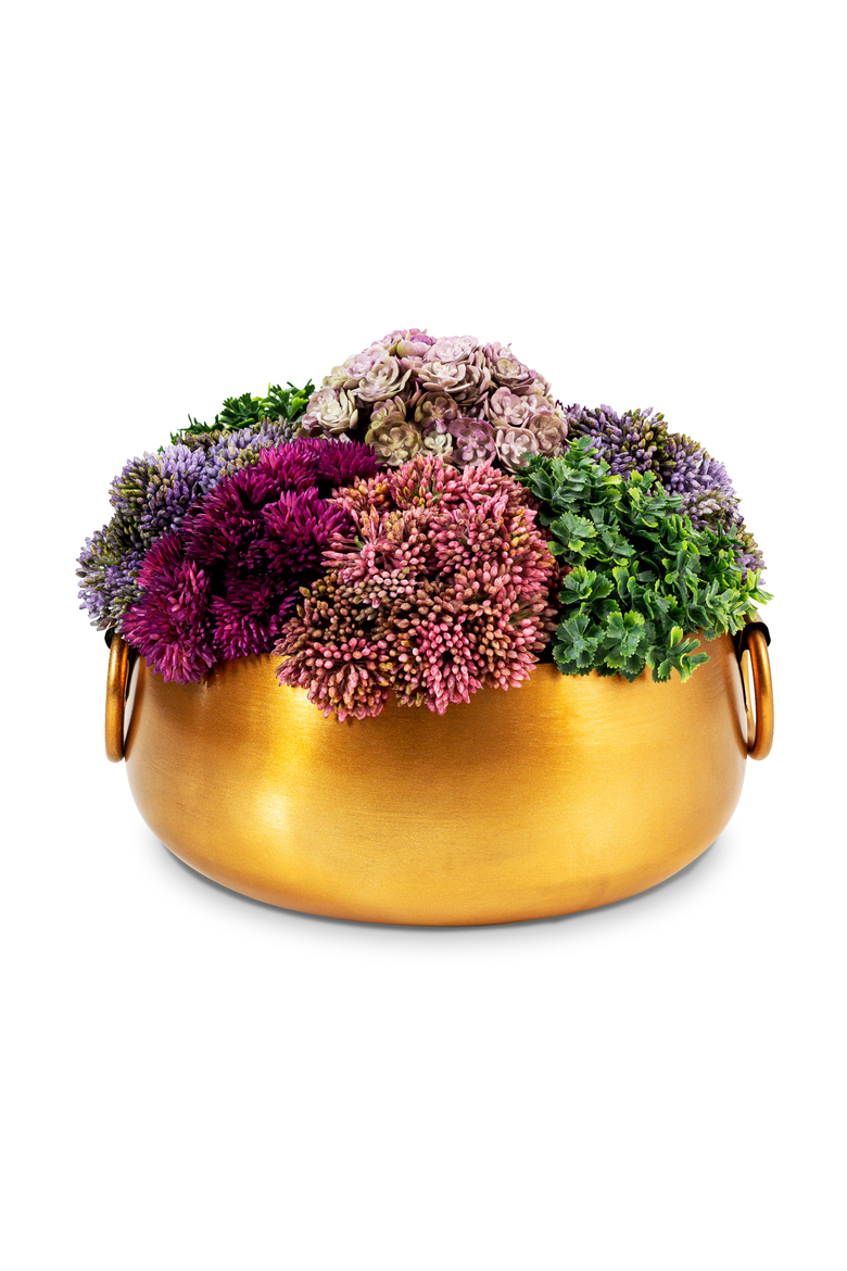 Alba Sedum Arrangement in Gold Handi Bowl, Main, color, Gold