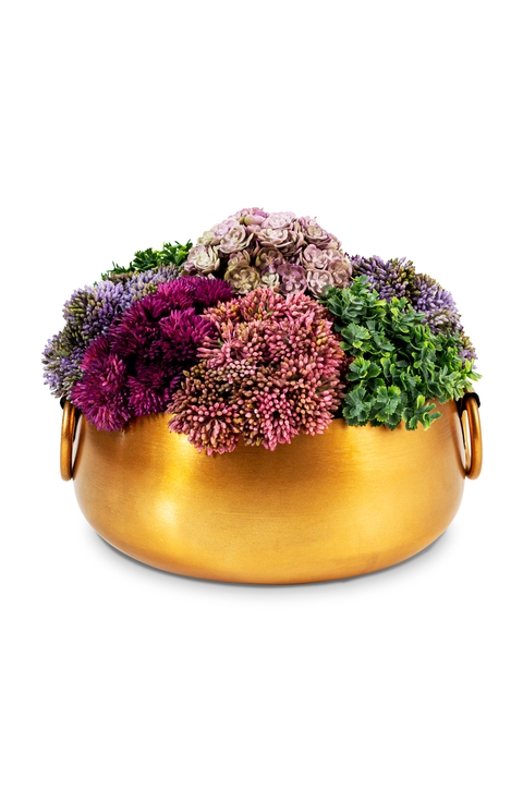 Alba Sedum Arrangement in Gold Handi Bowl