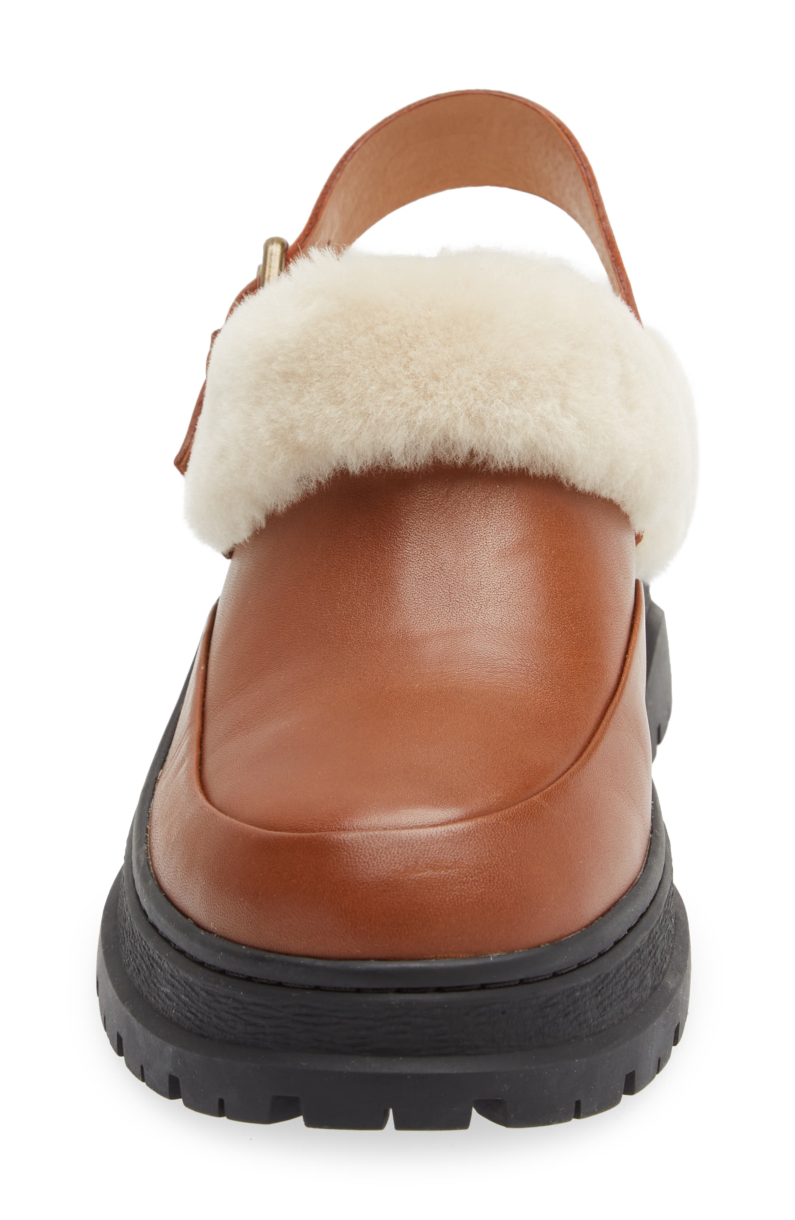 Madewell Tilly Faux Shearling Clog, Alternate, color, 
