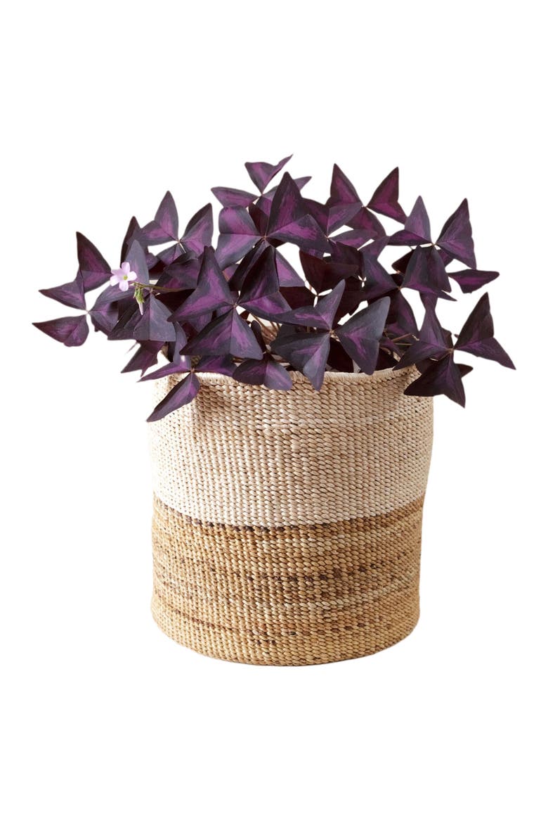 Two-Tone Banana Leaf Planter, Main, color, Neutral