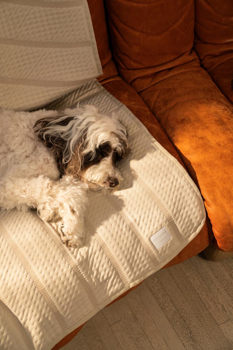 Brigette Romanek by LAY LO  Luxury Pet Blanket, Alternate, color, Neutral Cream