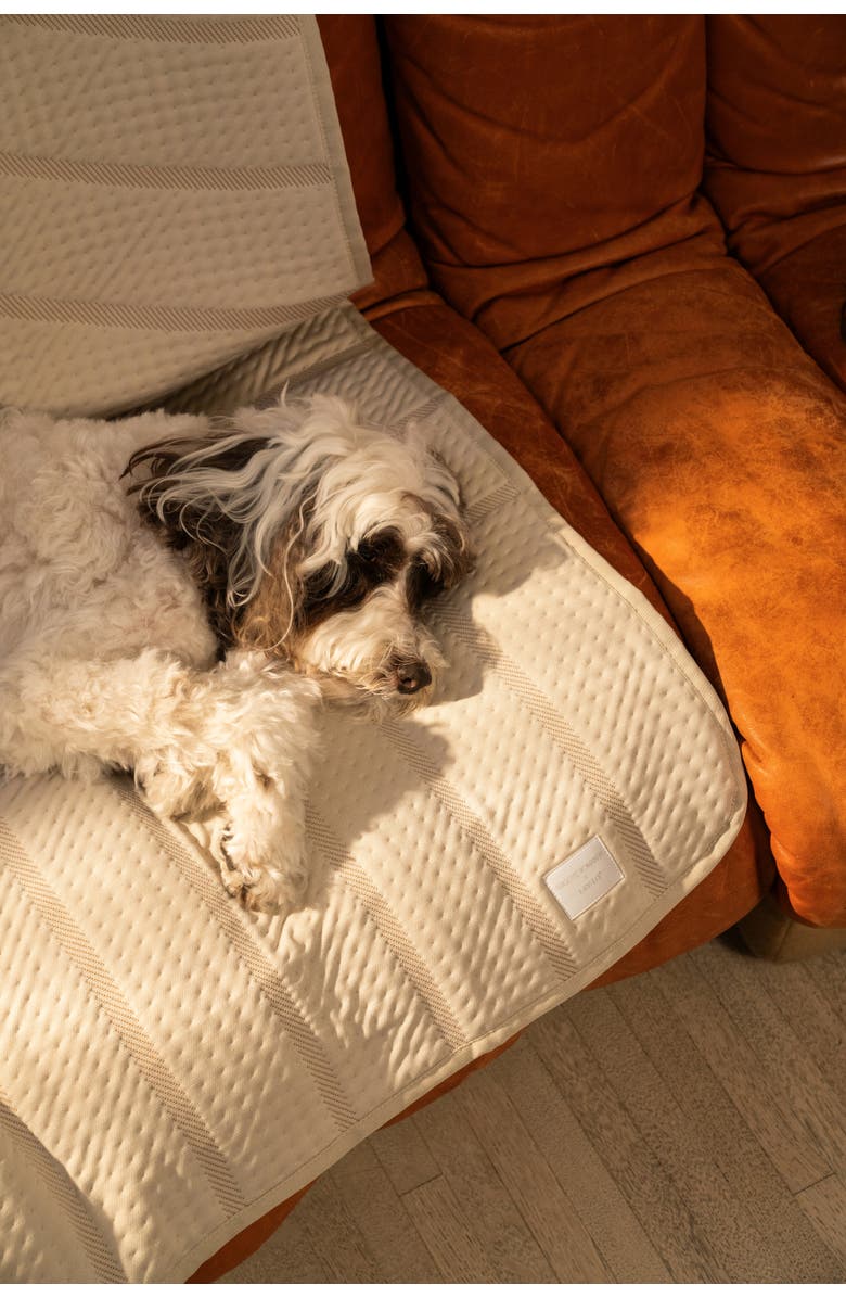 LAY LO Brigette Romanek by LAY LO  Luxury Pet Blanket, Alternate, color, Neutral Cream