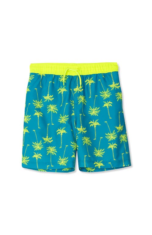 LANDS' END LANDS' END BOYS PRINT SWIM TRUNKS