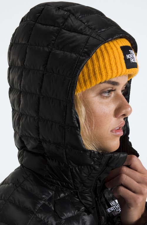 The North Face Thermoball Quilted Hooded Parka In Black