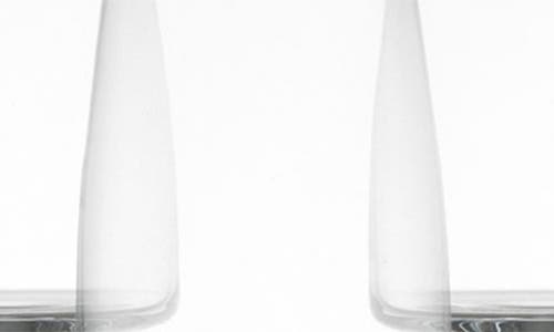Schott Zwiesel Sensa Set Of 8 Red & White Wine Glasses In Clear