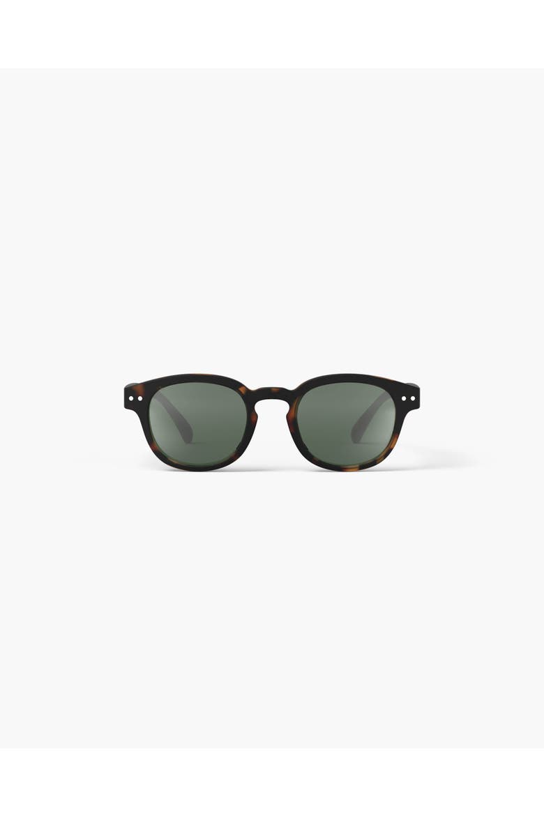 #c Tortoise Polarized, Main, color, Tortoise