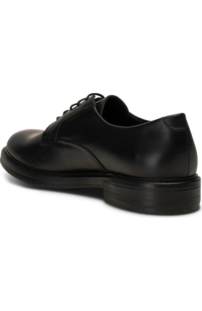 Shoe The Bear Stanley Derby, Alternate, color,