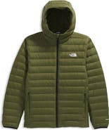 The North Face Classic 700 Fill Power Down Hooded Jacket