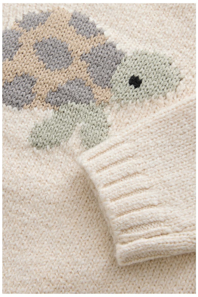 Kids' Turtle Sweater, Alternate, color, CREAM