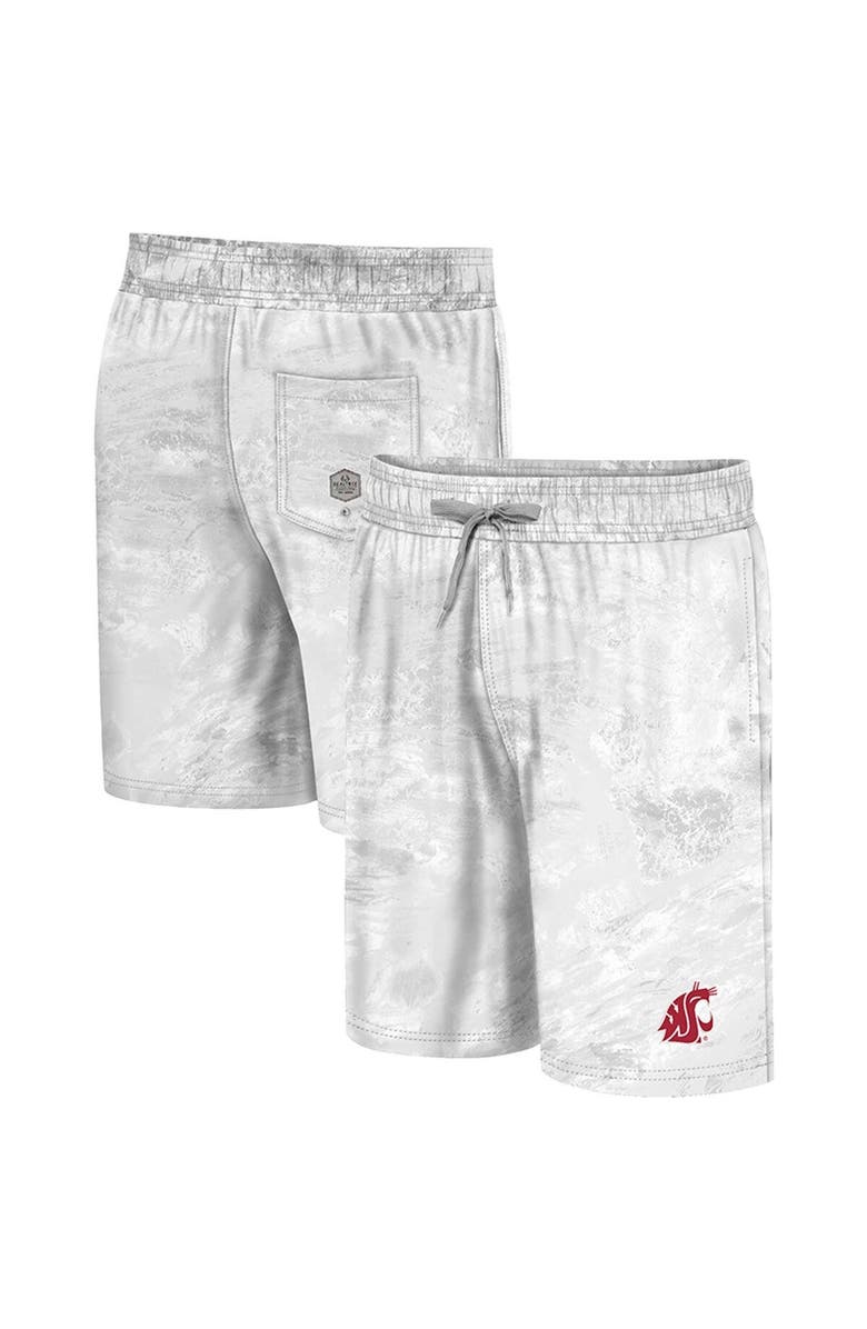COLOSSEUM Men's Colosseum White Washington State Cougars Realtree Aspect Ohana Swim Shorts, Main, color, 