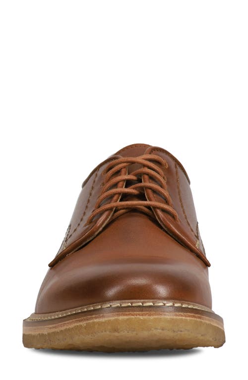 Frye Carter Derby In Brown
