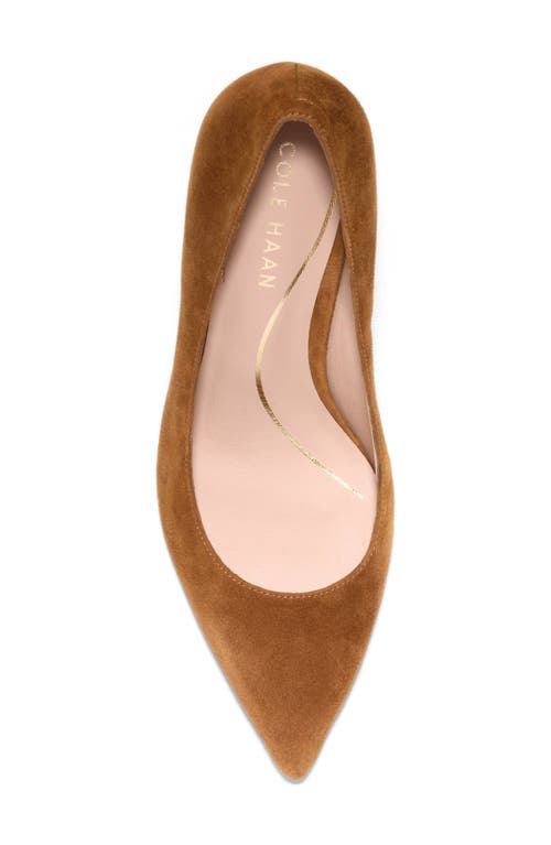 Cole Haan Vivica Pointed Toe Pump In Brown