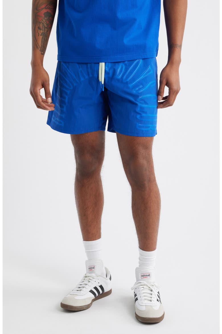 BB Sunrise Drawstring Nylon Shorts, Main, color, SURF THE WEB
