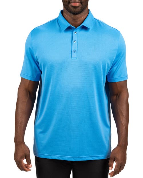 Black Clover Tubbs Polo In Blue