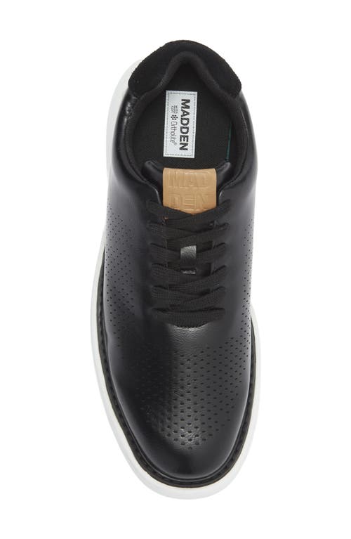 Steve Madden Hazzer Sneaker In Black