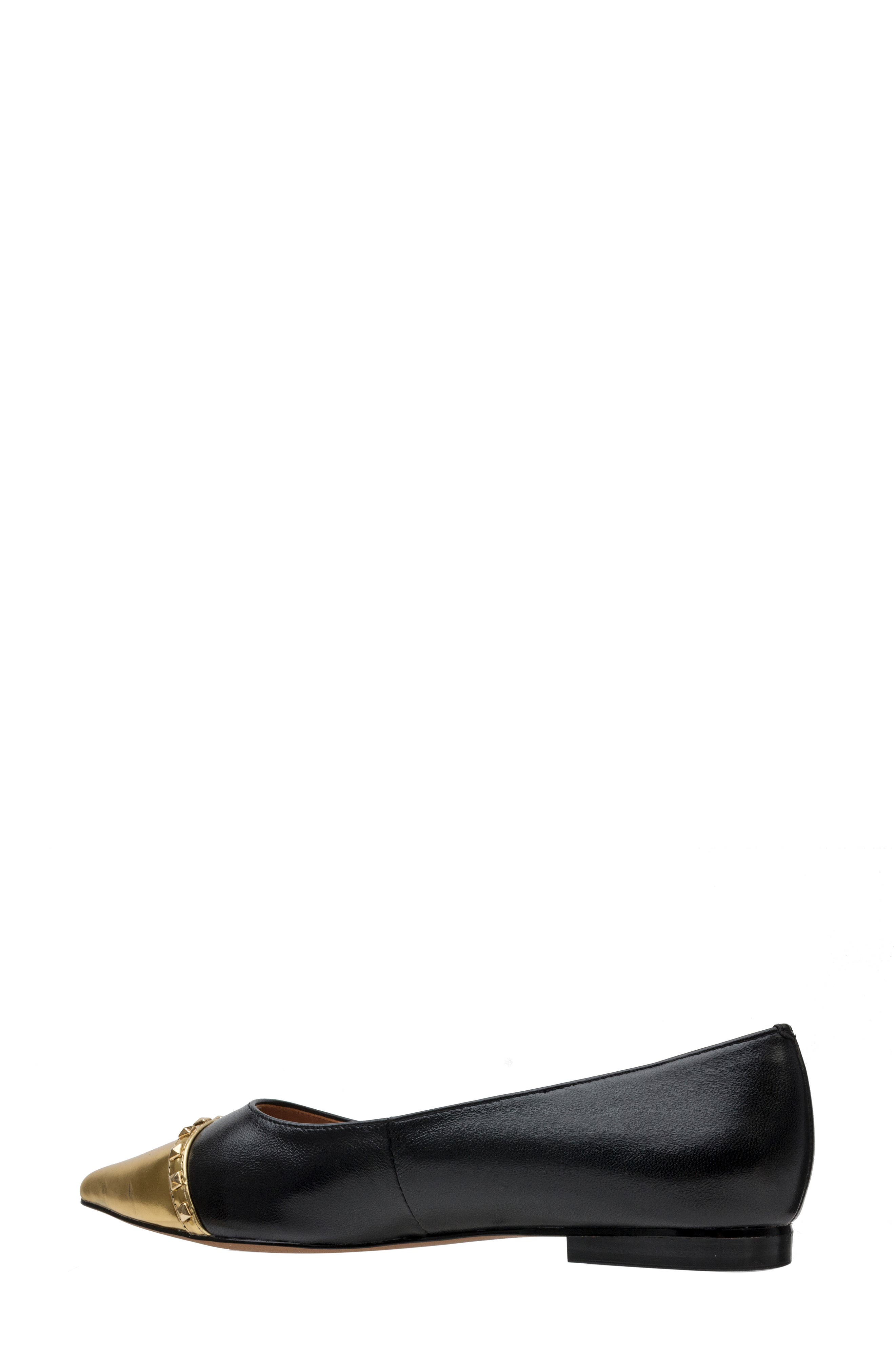 Linea Paolo Niche Pointed Toe Flat, Alternate, color, Black/ Gold
