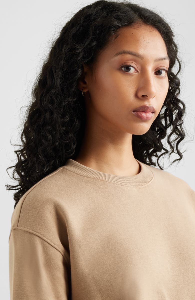 BP. Fleece Detail Oversize Crewneck Sweatshirt, Alternate, color, Tan Savannah