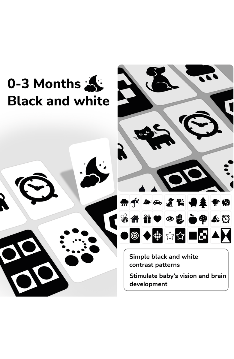 Quokka High Contrast & Vocabulary Flash Cards for Kids, Alternate, color, Set 2