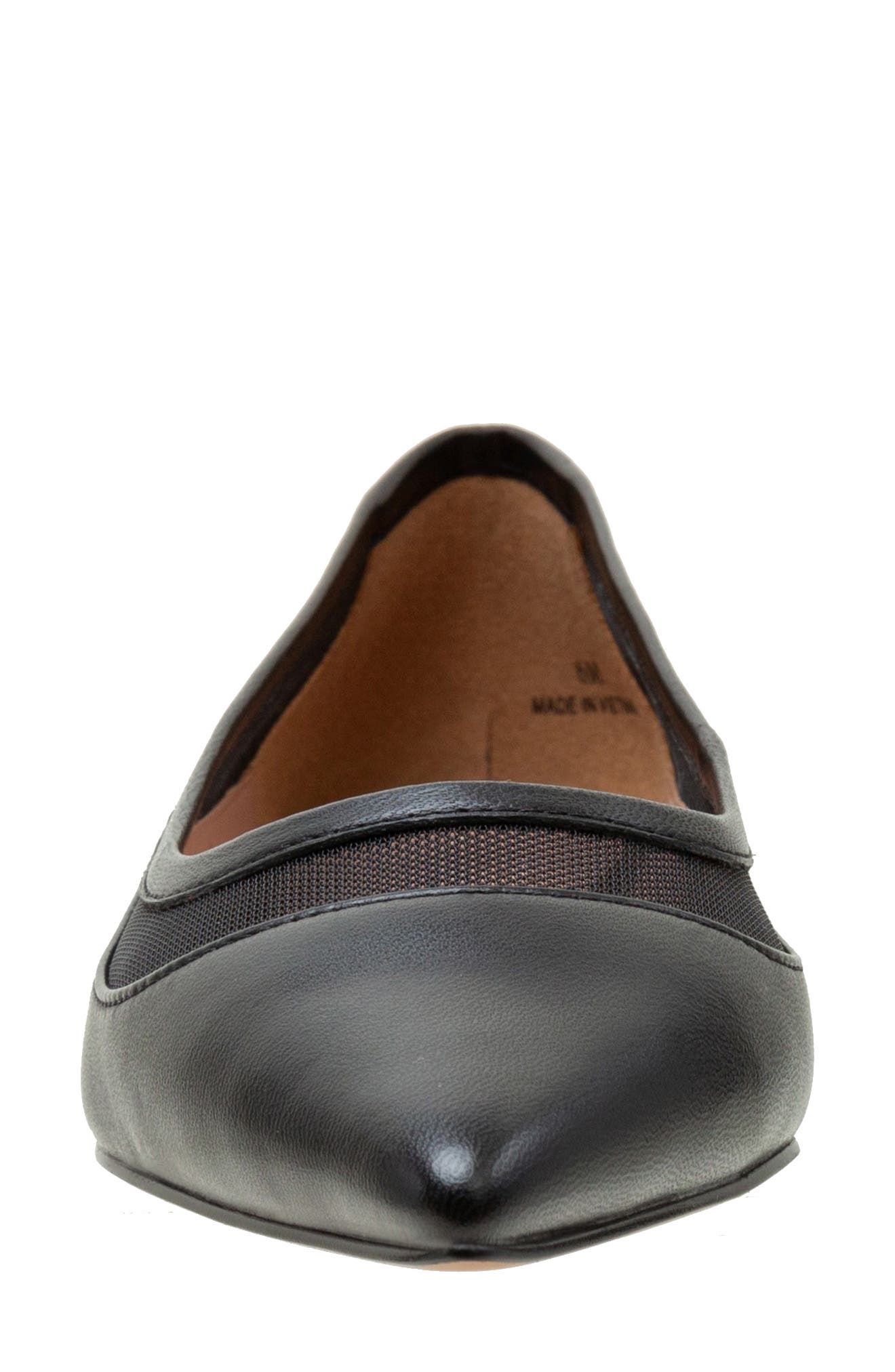 Linea Paolo Novah Pointed Toe Flat, Alternate, color, Black