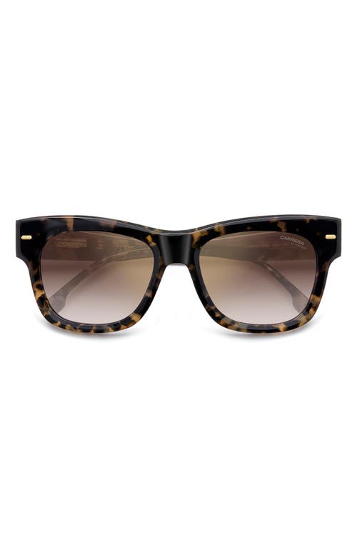 Carrera Eyewear 53mm Gradient Square Sunglasses In Havana/brown