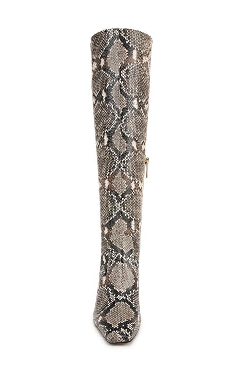 Franco Sarto Bowman Snakeskin Embossed Knee High Boot In Black